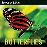 Book Cover for Butterflies by Seymour Simon