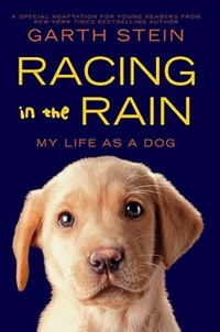 Book Cover for Racing in the Rain by Garth Stein