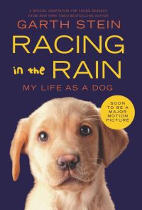 Book Cover for Racing in the Rain by Garth Stein
