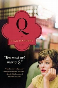 Book Cover for Q by Evan J Mandery