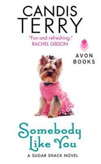 Book Cover for Somebody Like You by Dan Gutman