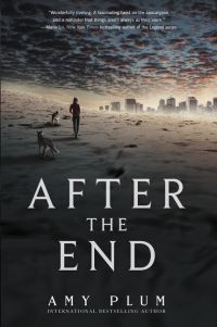 Book Cover for After the End by Amy Plum