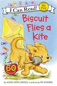 Book Cover for Biscuit Flies a Kite by Alyssa Satin Capucilli