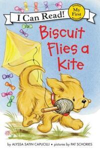 Book Cover for Biscuit Flies a Kite by Alyssa Satin Capucilli