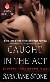 Book Cover for Caught in the Act by Herman Parish