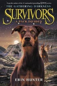 Book Cover for A Pack Divided by Erin Hunter