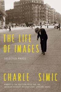 Book Cover for The Life of Images by Charles Simic