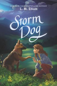 Book Cover for Storm Dog by Laura Elliott