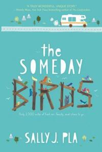Book Cover for The Someday Birds by Sally J Pla