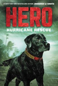 Book Cover for Hurricane Rescue by Jennifer Li Shotz