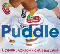 Book Cover for Puddle by Richard Jackson