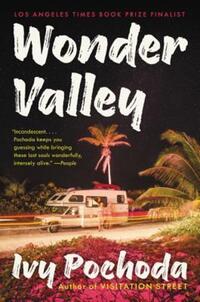 Book Cover for Wonder Valley by Ivy Pochoda