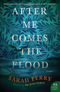 Book Cover for After Me Comes the Flood by Sarah Perry