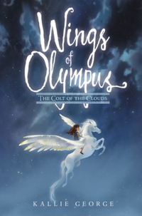 Book Cover for The Colt of the Clouds by K George