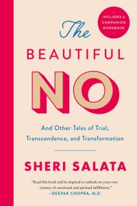 Book Cover for The Beautiful No by Sheri Salata