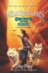 Book Cover for Escape to the Mesa by Stacy Hinojosa