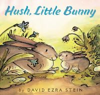 Book Cover for Hush, Little Bunny by David Ezra Stein