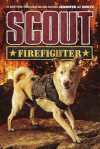 Book Cover for Firefighter by Jennifer Li Shotz