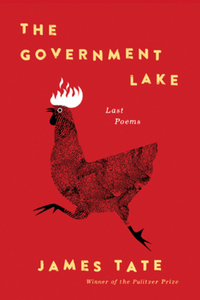 Book Cover for The Government Lake by James Tate