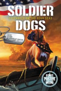 Book Cover for Shipwreck on the High Seas by Marcus Sutter
