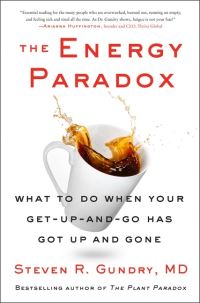 Book Cover for The Energy Paradox by Steven R Gundry