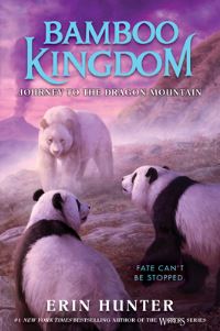Book Cover for Journey to the Dragon Mountain by Erin Hunter