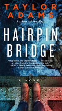 Book Cover for Hairpin Bridge by Taylor Adams