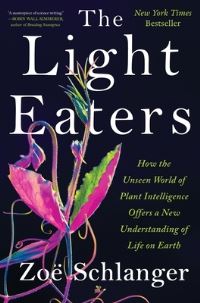 Book Cover for The Light Eaters by Zoë Schlanger