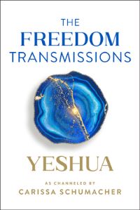 Book Cover for The Freedom Transmissions by Carissa Schumacher