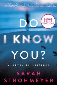 Book Cover for Do I Know You? by Sarah Strohmeyer