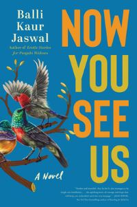 Book Cover for Now You See Us by Balli Kaur Jaswal