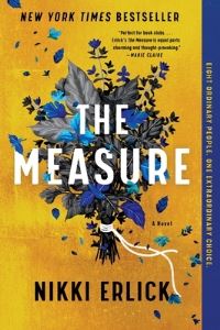 Book Cover for The Measure by Nikki Erlick