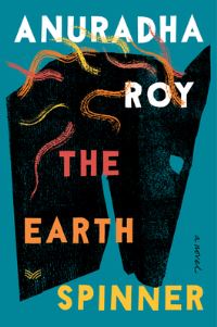 Book Cover for The Earthspinner by Anuradha Roy
