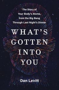 Book Cover for What's Gotten Into You by Dan Levitt