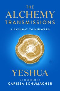 Book Cover for The Alchemy Transmissions by Carissa Schumacher