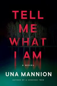 Book Cover for Tell Me What I Am by Una Mannion 