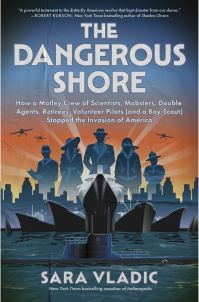 Book Cover for The Dangerous Shore by Sara Vladic