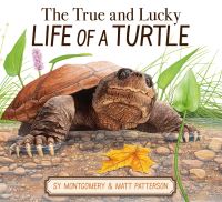 Book Cover for The True and Lucky Life of a Turtle by Sy Montgomery