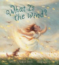 Book Cover for What Is the Wind? by Gideon Sterer