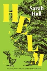 Book Cover for Helm by Sarah Hall