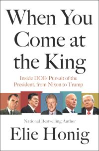 Book Cover for When You Come at the King by Elie Honig
