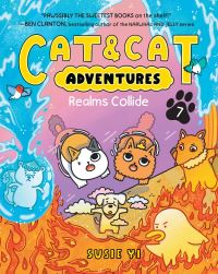 Book Cover for Realms Collide by Susie Yi