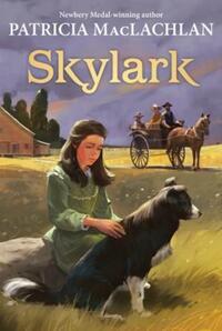 Book Cover for Skylark by Terry Deary