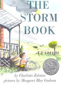 Book Cover for The Storm Book by Charlotte Zolotow