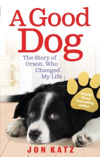 Book Cover for A Good Dog by Jon Katz