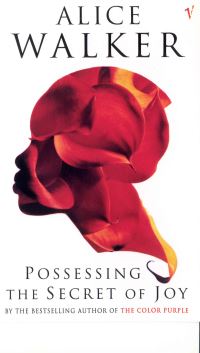 Book Cover for Possessing the Secret of Joy by Alice Walker