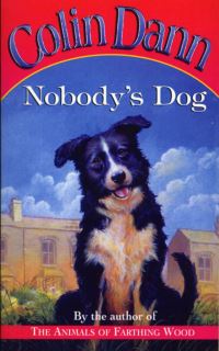 Book Cover for Nobody's Dog by Colin Dann