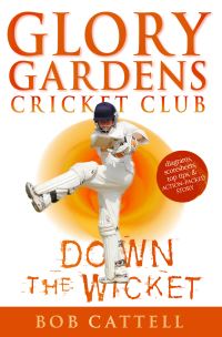 Book Cover for Down the Wicket by Bob Cattell, David Kearney