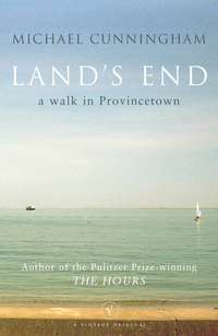 Book Cover for Land's End by Michael Cunningham