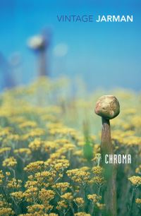 Book Cover for Chroma by Derek Jarman